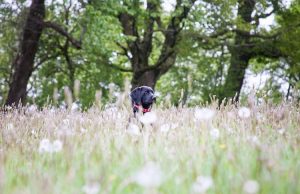 Sarah Cook Photography