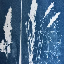 cyanotype workshop aberystwyth