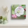 Crab Apple Blossom
