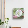 Crab Apple Blossom