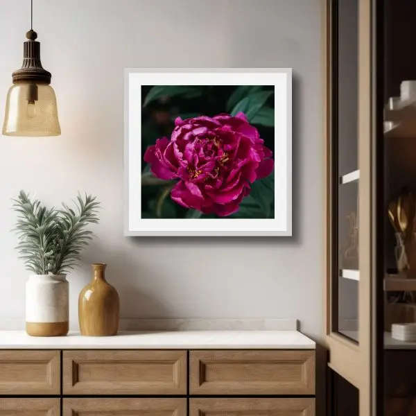 Crimson Peony Crimson Peony