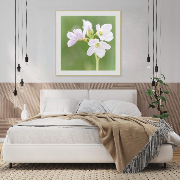 Cuckoo_Flower-Print_002 Cuckoo Flower