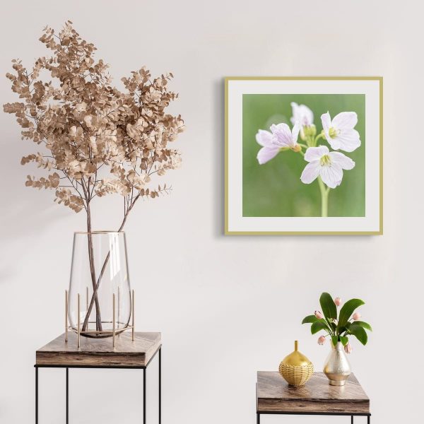 Cuckoo_Flower-Print_003 Cuckoo Flower